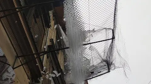 Las sopli nad przystankiem. "Co, jak spadną komuś na głowę?"