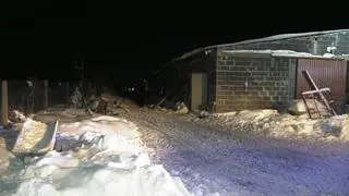 Strażacy wydostali 561 świń