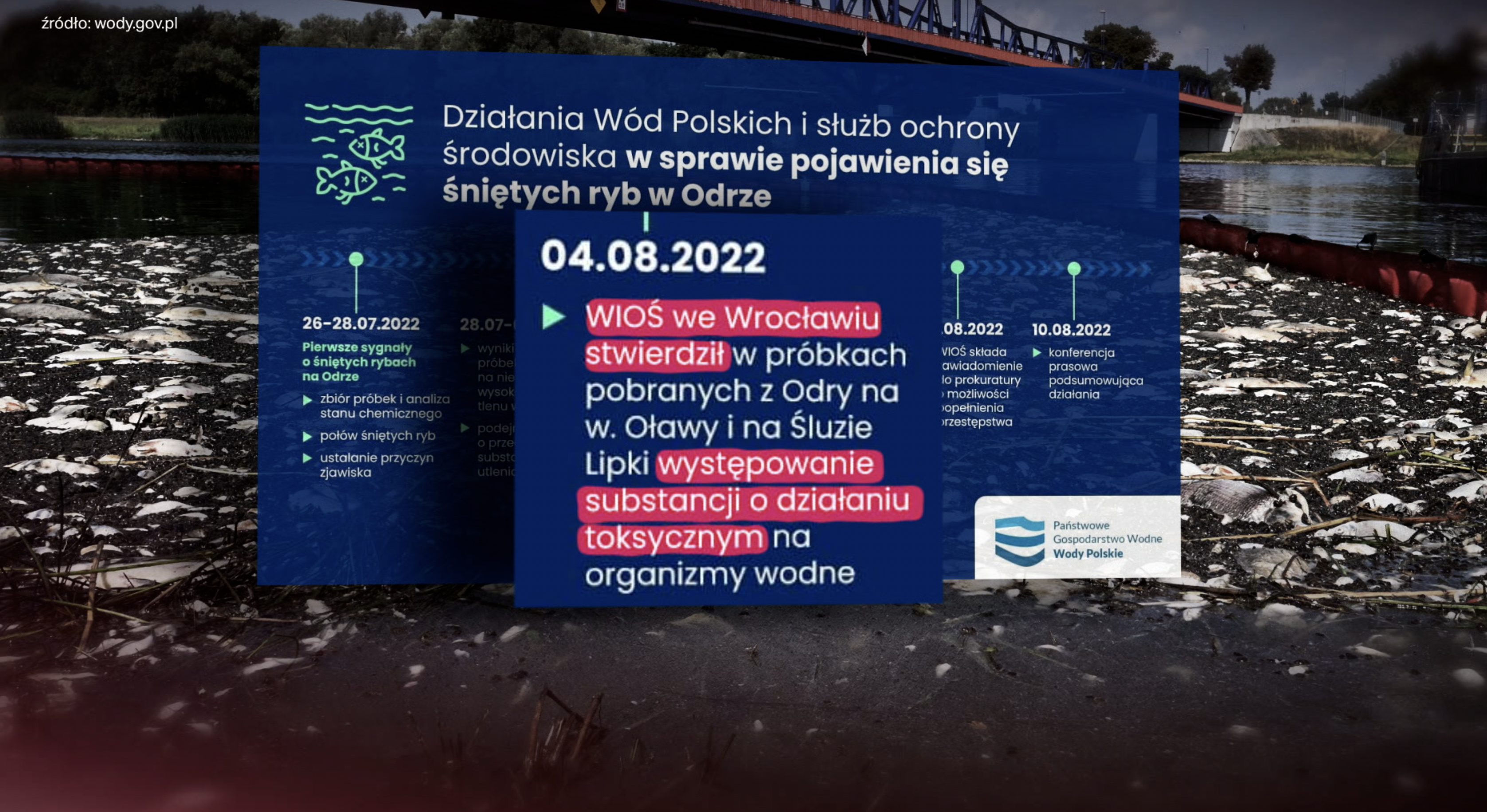 Wody Polskie informują o tym, że 4 sierpnia WIOŚ stwierdził obecność substancji o działaniu toksycznym