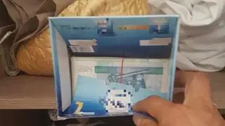 Środki zabezpieczono między innymi w postaci gotówki