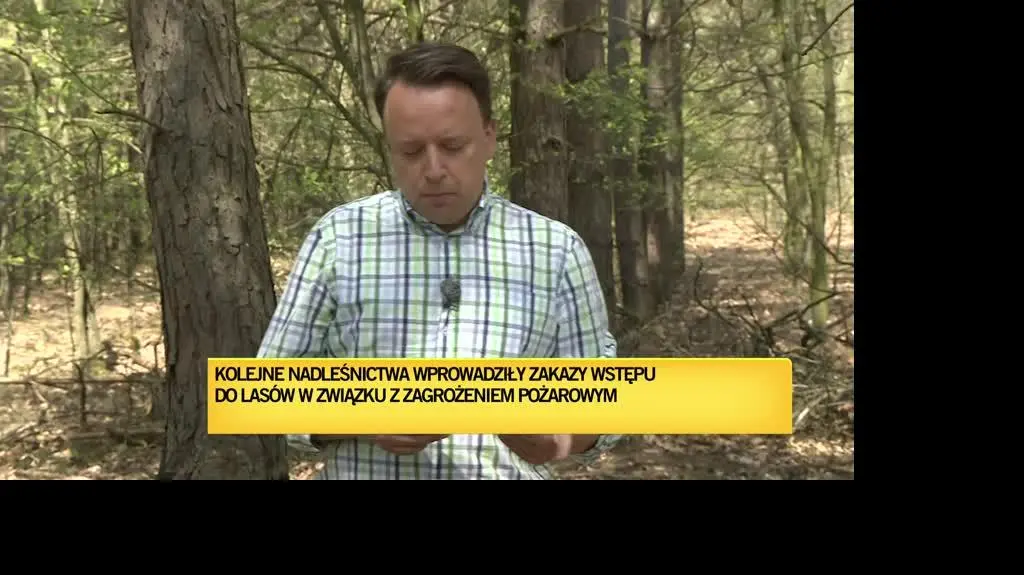 Sytuacja w lasach jest krytyczna