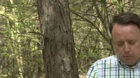 Sytuacja w lasach jest krytyczna