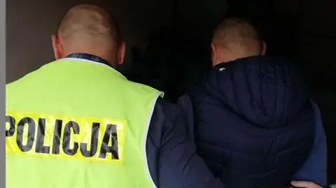 Wyłudzenia, oszustwa i pranie brudnych pieniędzy. Kolejne zatrzymania członków międzynarodowego gangu 