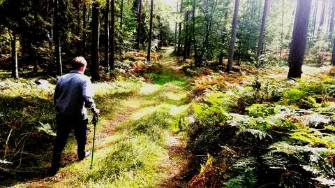 Pan Tadeusz. "Dobrzy ludzie duchów się nie boją"