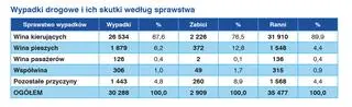 9 na 10 wypadków w 2019 roku spowodowali kierowcy 