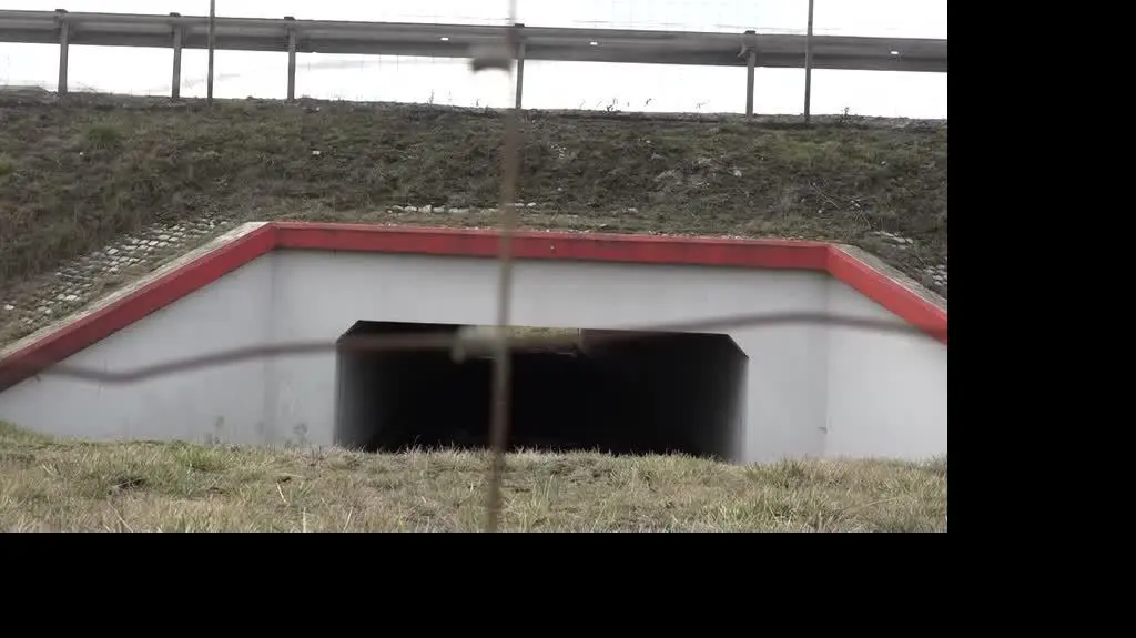 zalewski_ok