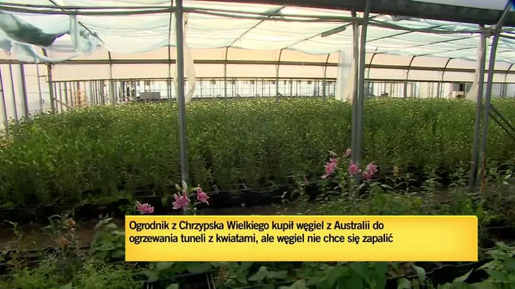 TVN24 Clean_20221019144505(8376)_aac