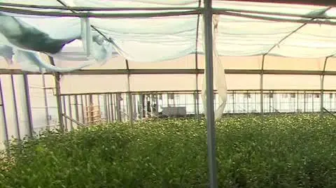 TVN24 Clean_20221019144505(8376)_aac