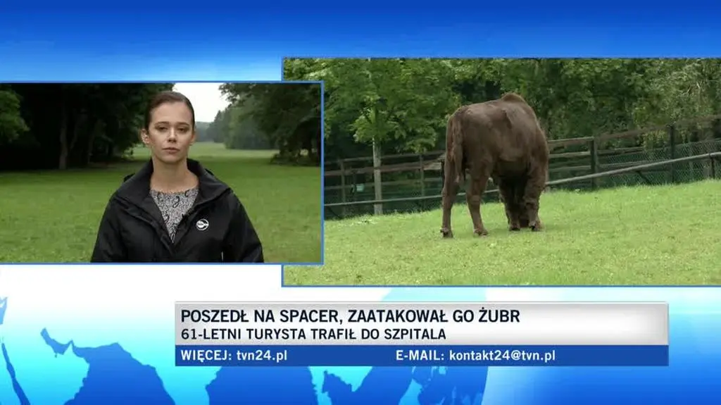 "Żubry z natury są płochliwe"
