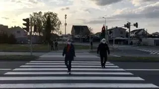 Posłanka na pasach, sygnalizator pokazuje czerwone światło