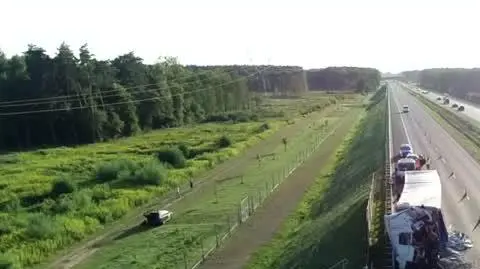 wypadek