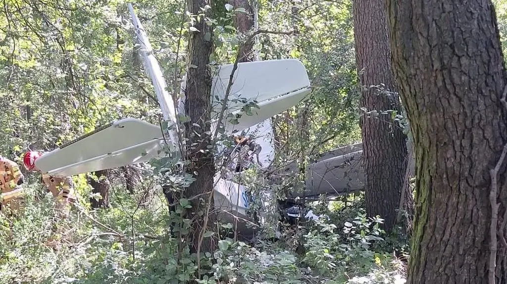 Samolot spadł w lesie pod Łowiczem