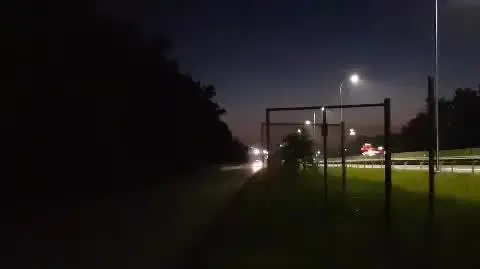 Po S8 spacerował łoś