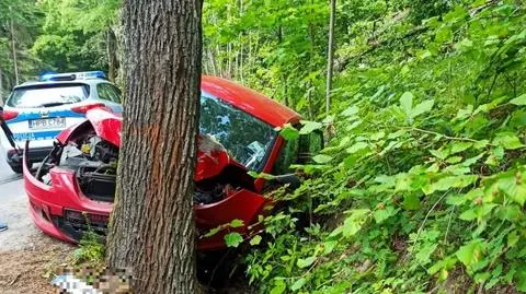 Wiózł troje dzieci, uderzył w drzewo. Tłumaczył, że dzień wcześniej wypił "tylko trzy lampki wina"