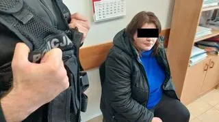 Kobieta usłyszała łącznie 6 zarzutów