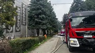 Pożar w zielonogórskiej szkole
