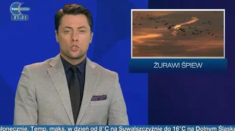 02.04 | Poranek ze stadem żurawi