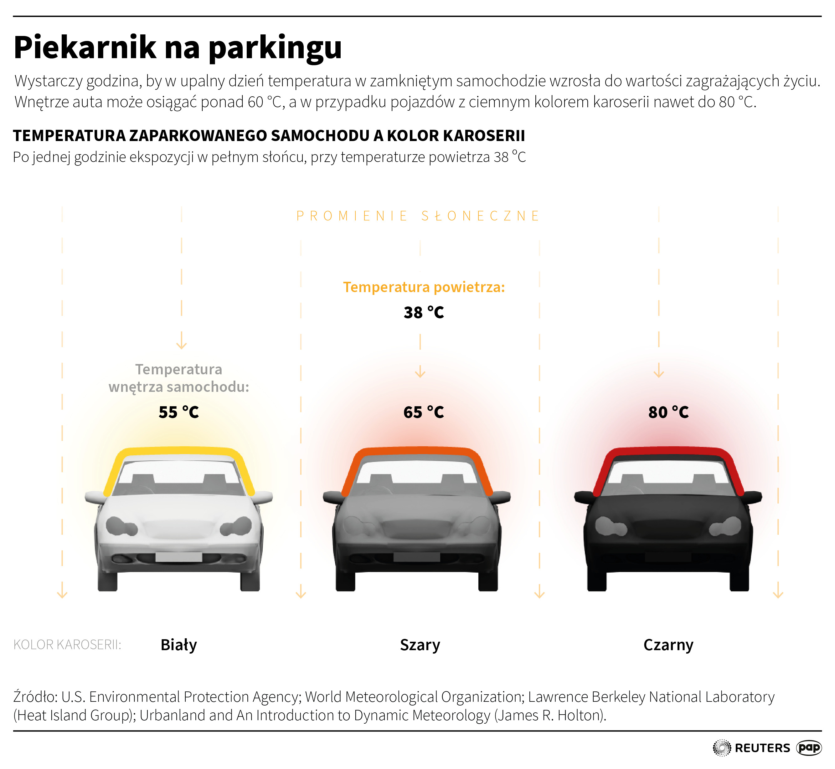 Aktualnie czytasz: Upały. Jak dbać o zwierzęta w czasie upału? 