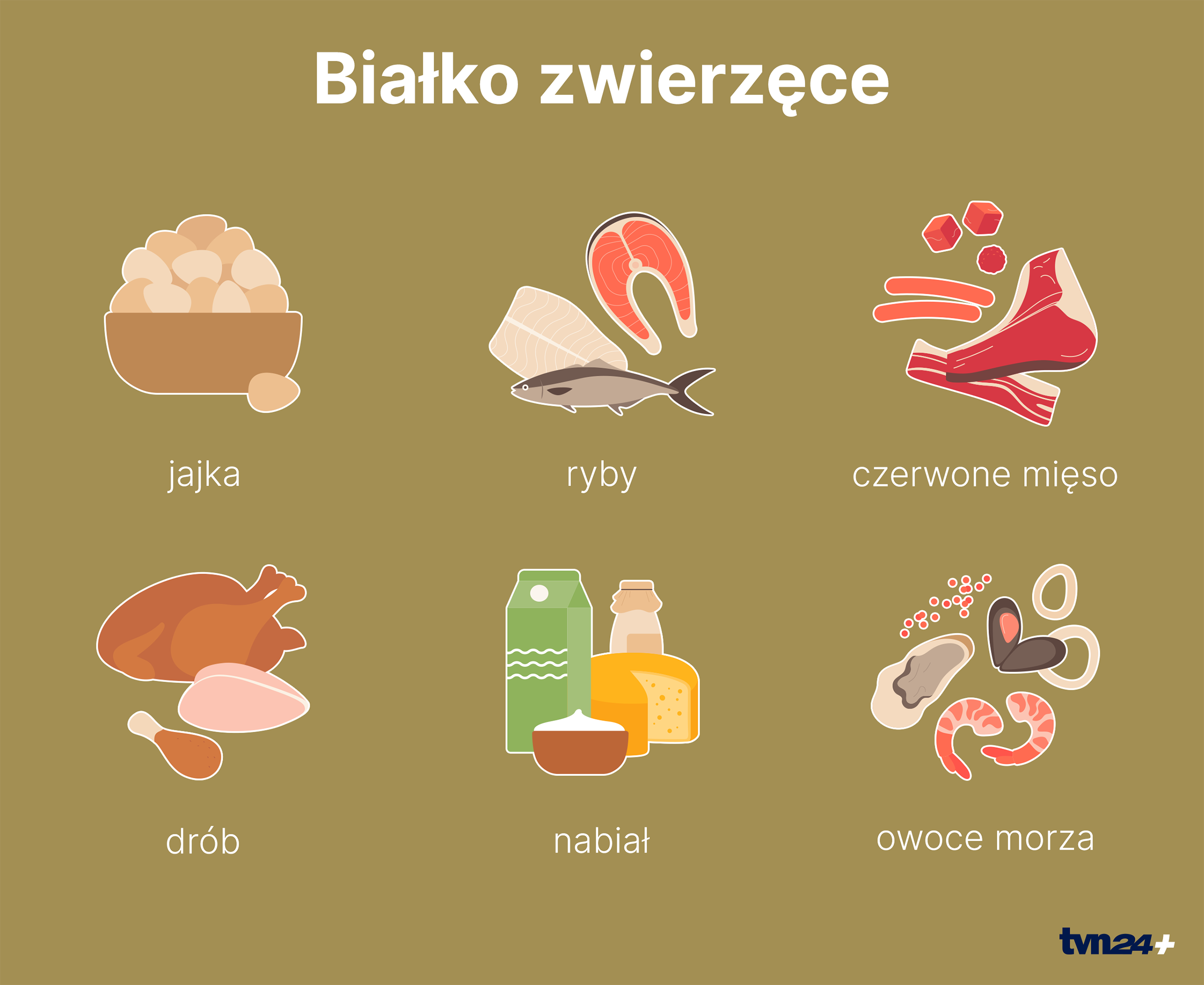 Białko zwierzęce