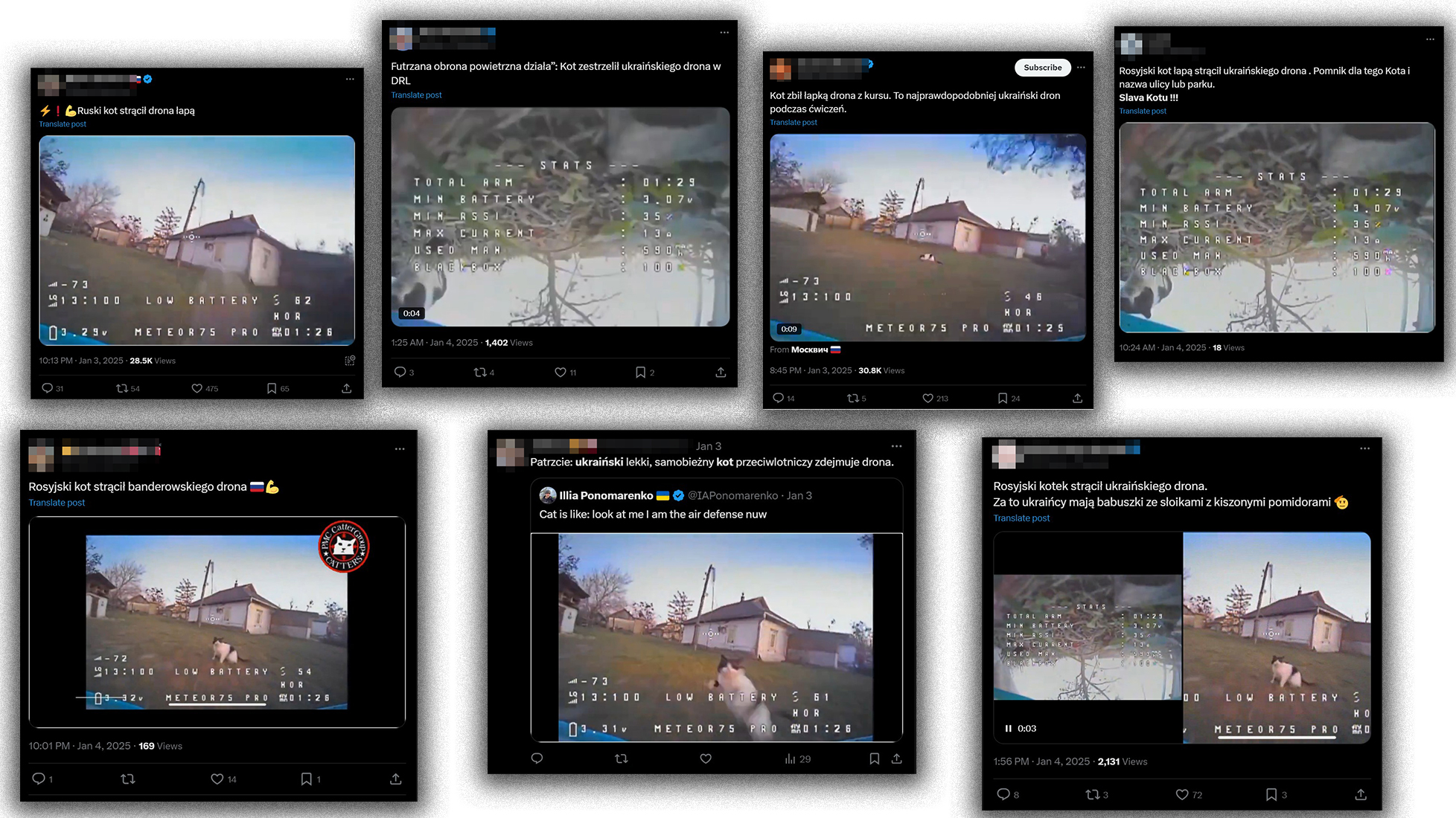 Polscy internauci także chętnie udostępniali nagranie z drona z udziałem kota 