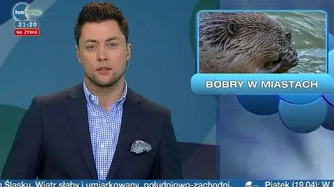 16.04 | Bobry na Mazowszu