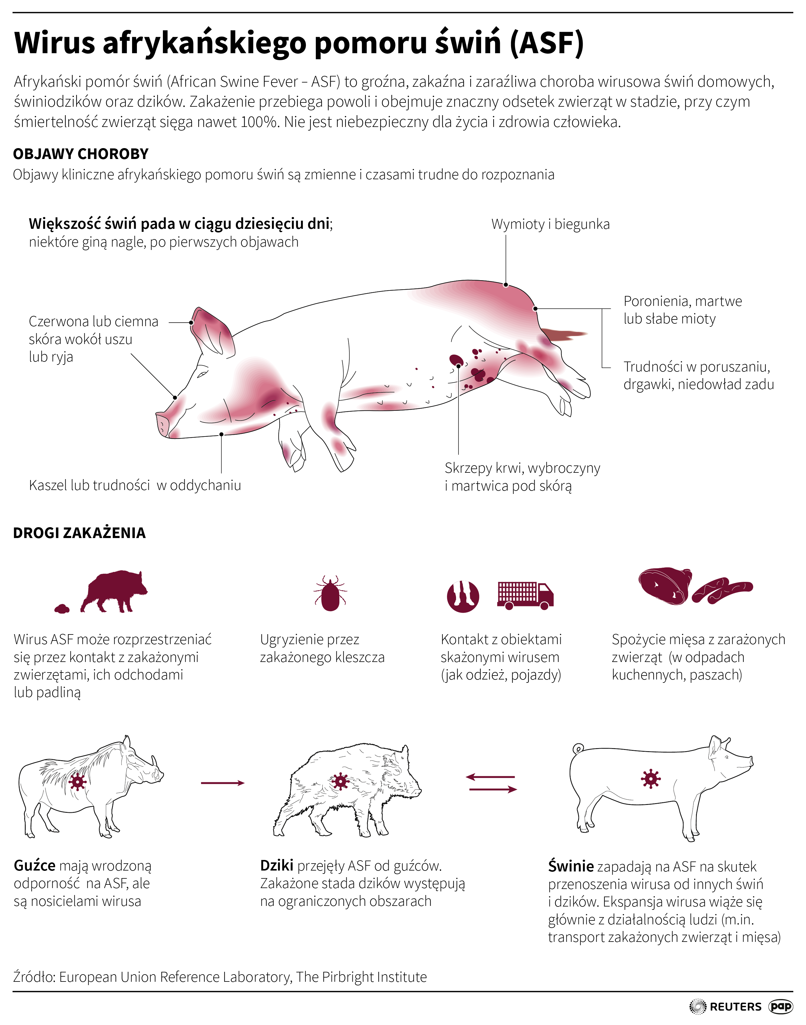 Aktualnie czytasz: Wirus powrócił po 30 latach. Władze wezwały na pomoc wojsko