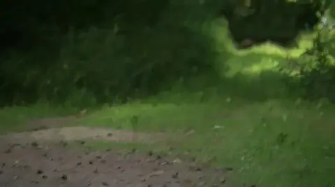 21-latek śmiertelnie postrzelony przez myśliwego?