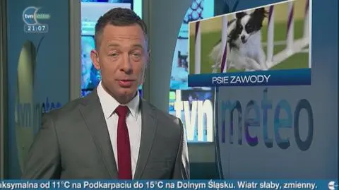 23.03 | Psie zawody