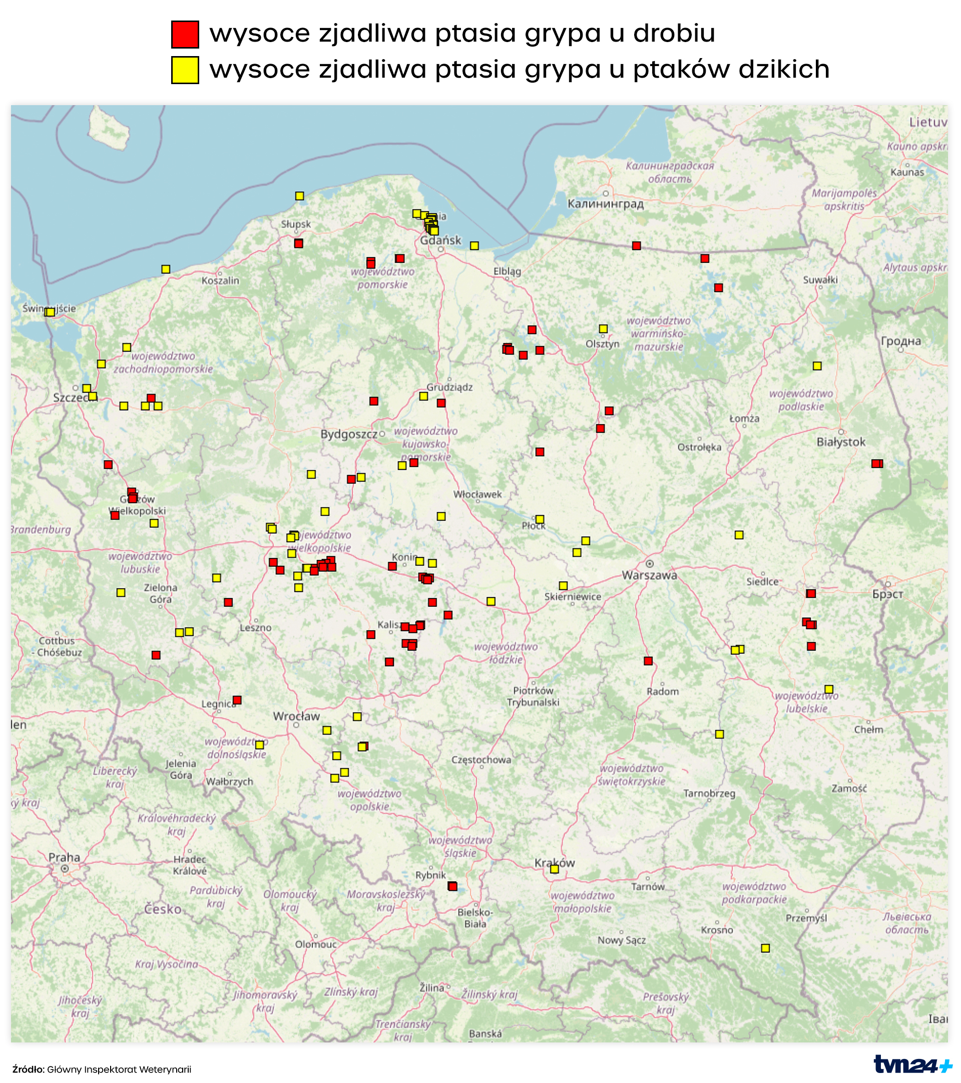 Aktywne ogniska ptasiej grypy w Polsce