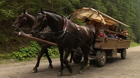 26.07.2014 | Nad Morskie Oko wozem na prąd? Obrońcy zwierząt chcą zastąpić konie