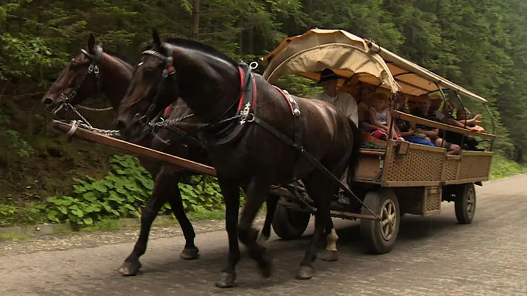 26.07.2014 | Nad Morskie Oko wozem na prąd? Obrońcy zwierząt chcą zastąpić konie