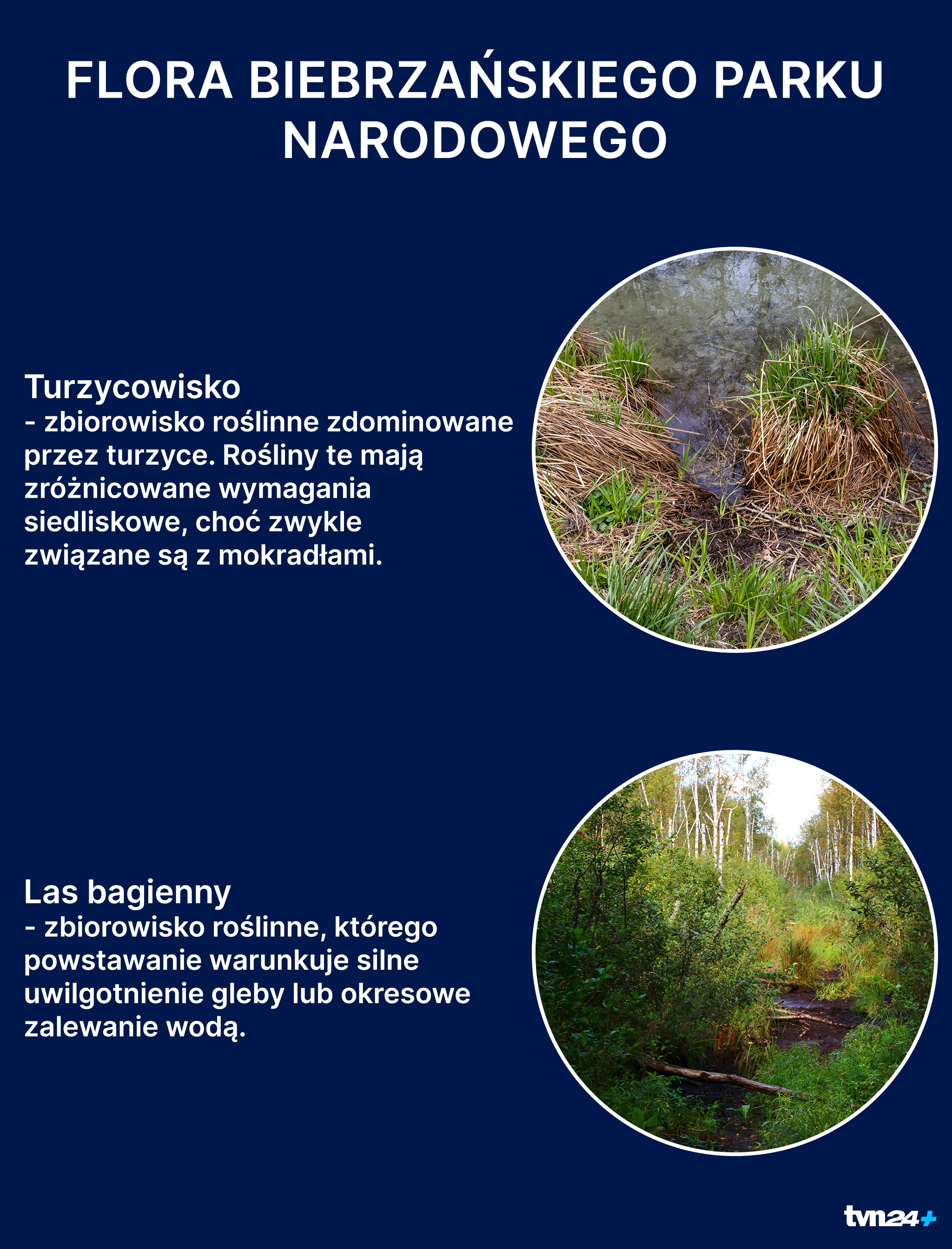 Flora Biebrzańskiego Parku Narodowego