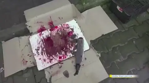 29.11.2014 | Straż Graniczna wykryła nielegalne mięso w chińskim centrum. Podejrzenie psiny