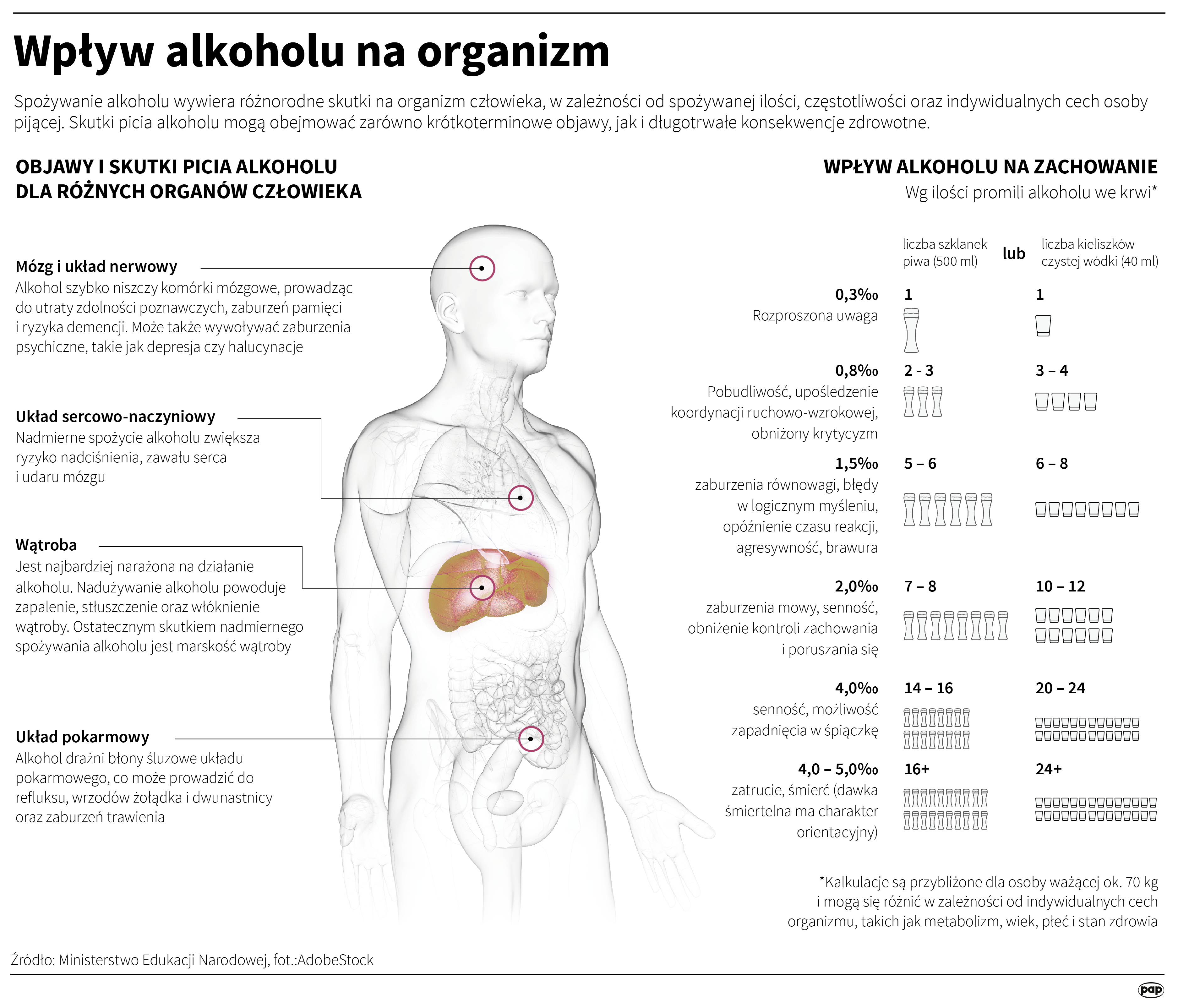 Wpływ alkoholu na organizm