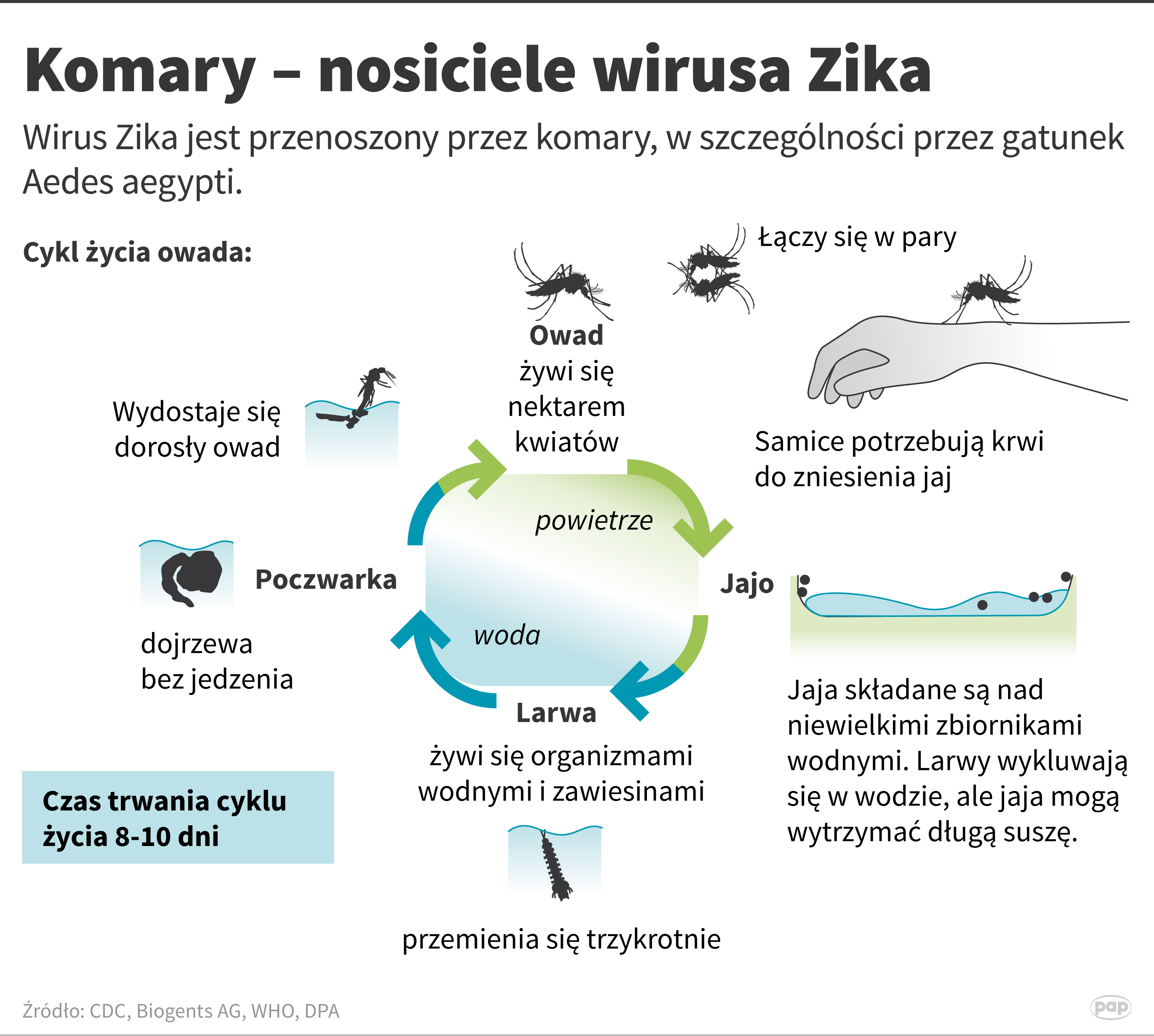 Aktualnie czytasz: Nanokryształy kontra komary. Przed owadami ochroni nas chemiczny kamuflaż