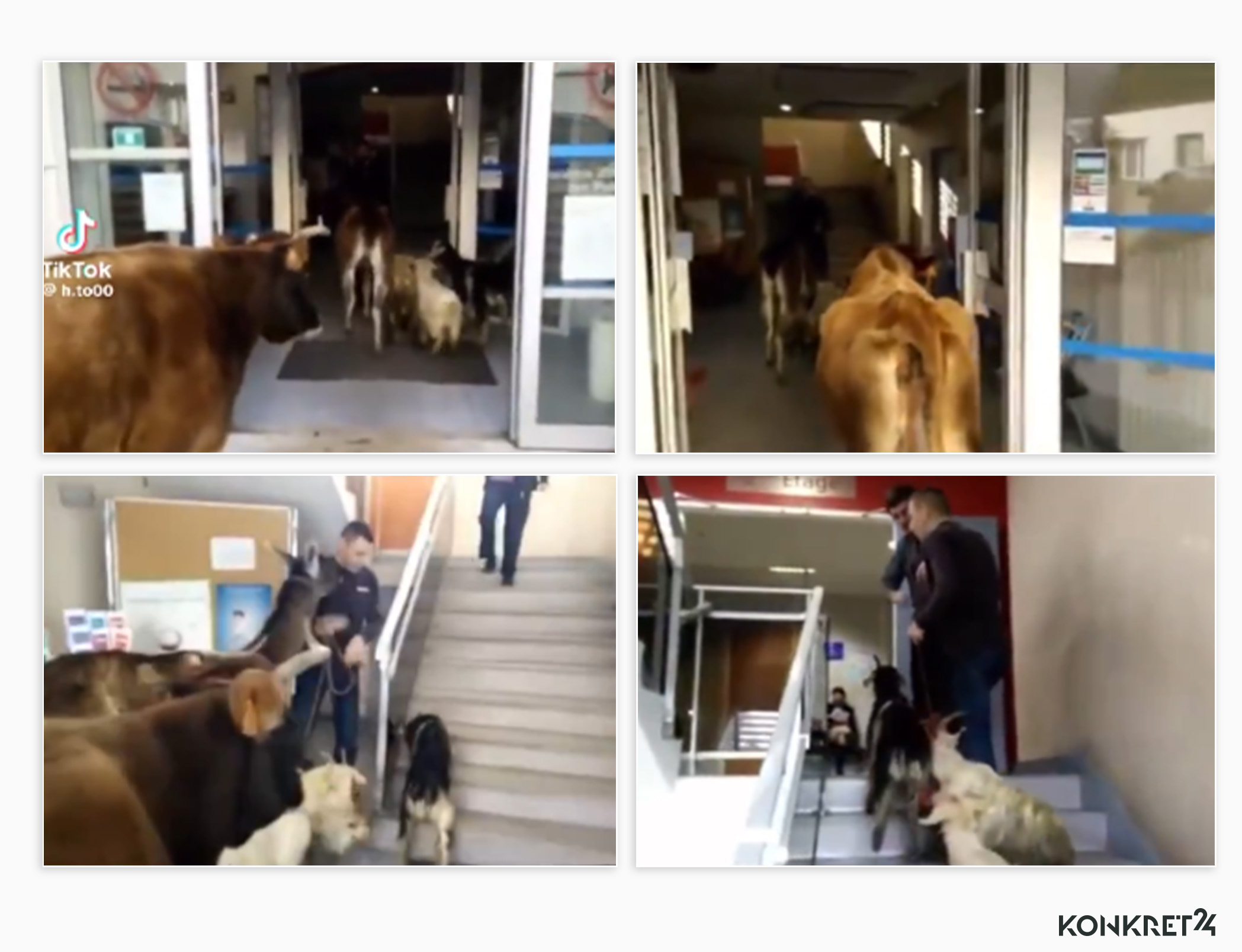 Kadry z filmu przedstawiającego, co się wydarzyło we francuskim urzędzie skarbowym