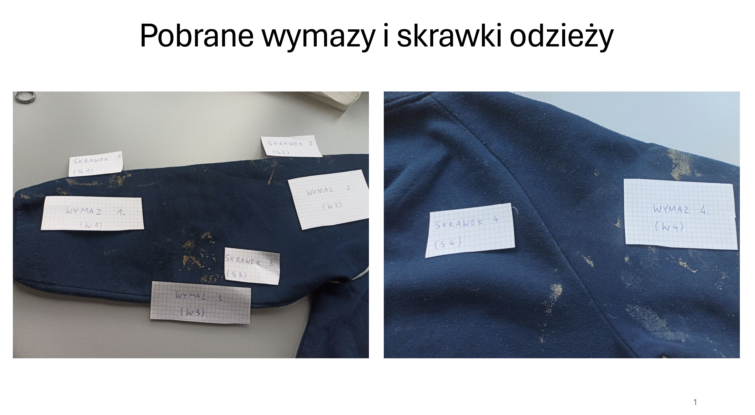 Odzież mężczyzny pogryzionego w Niewistce przebadana przez eksperta 