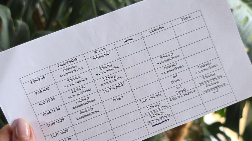 Plan lekcji drugoklasisty