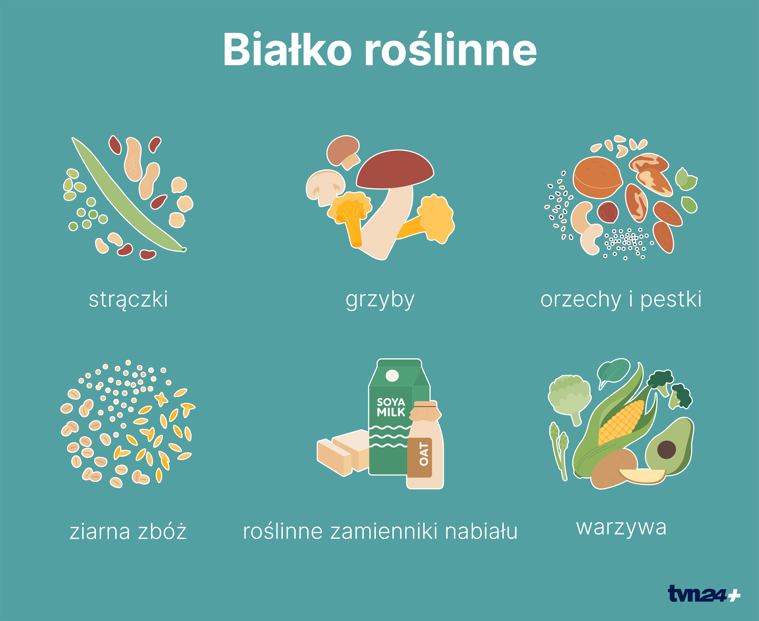 Białko roślinne