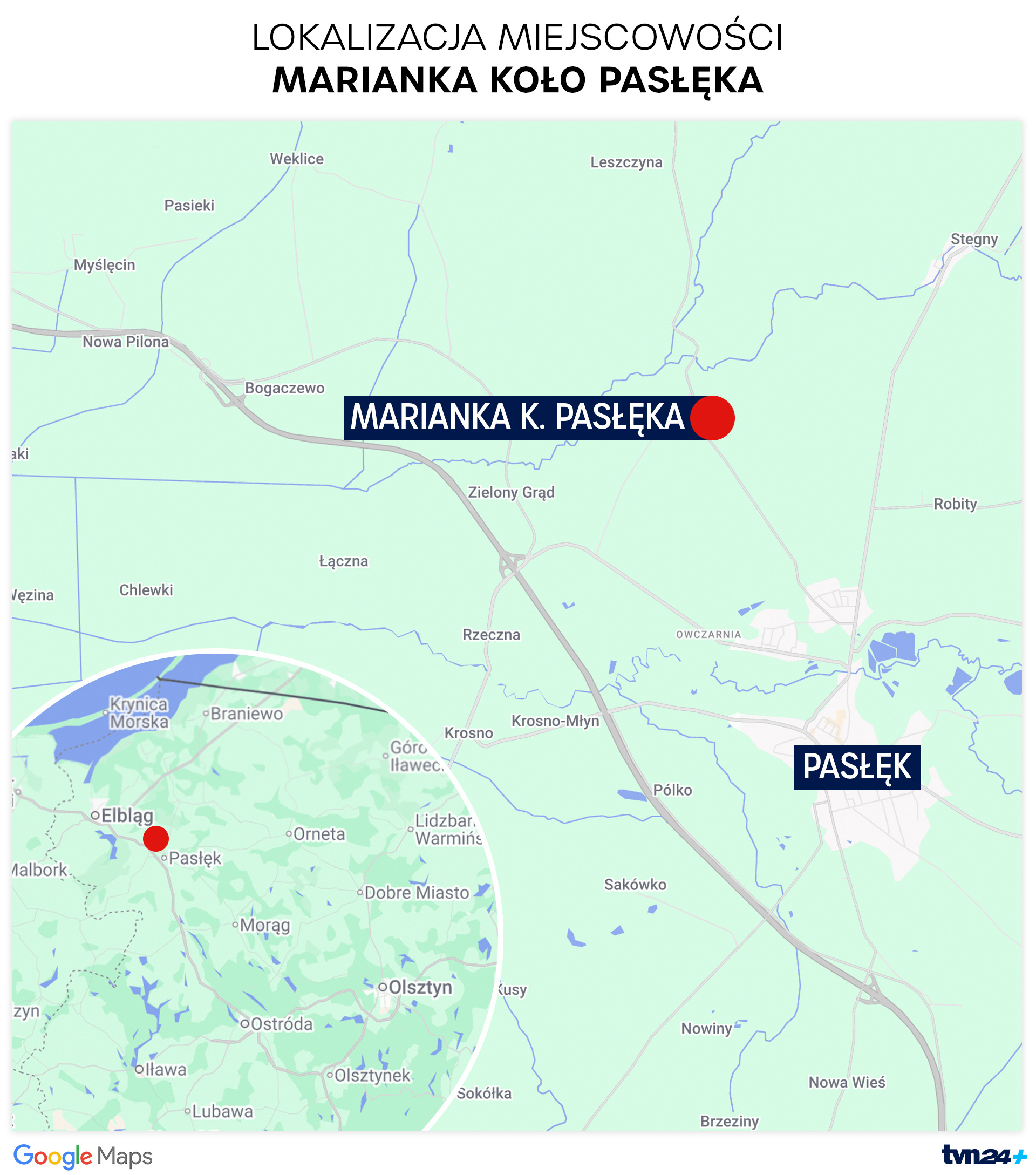 Aktualnie czytasz: Martwy łoś bez poroża. Nie ma kuli, nie ma sprawy