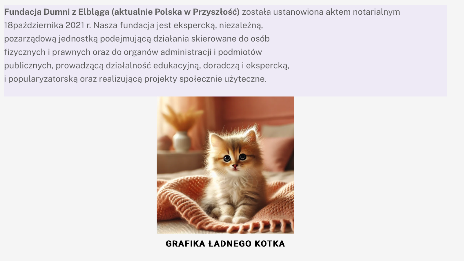Fragment strony fundacji Dumni z Elbląga