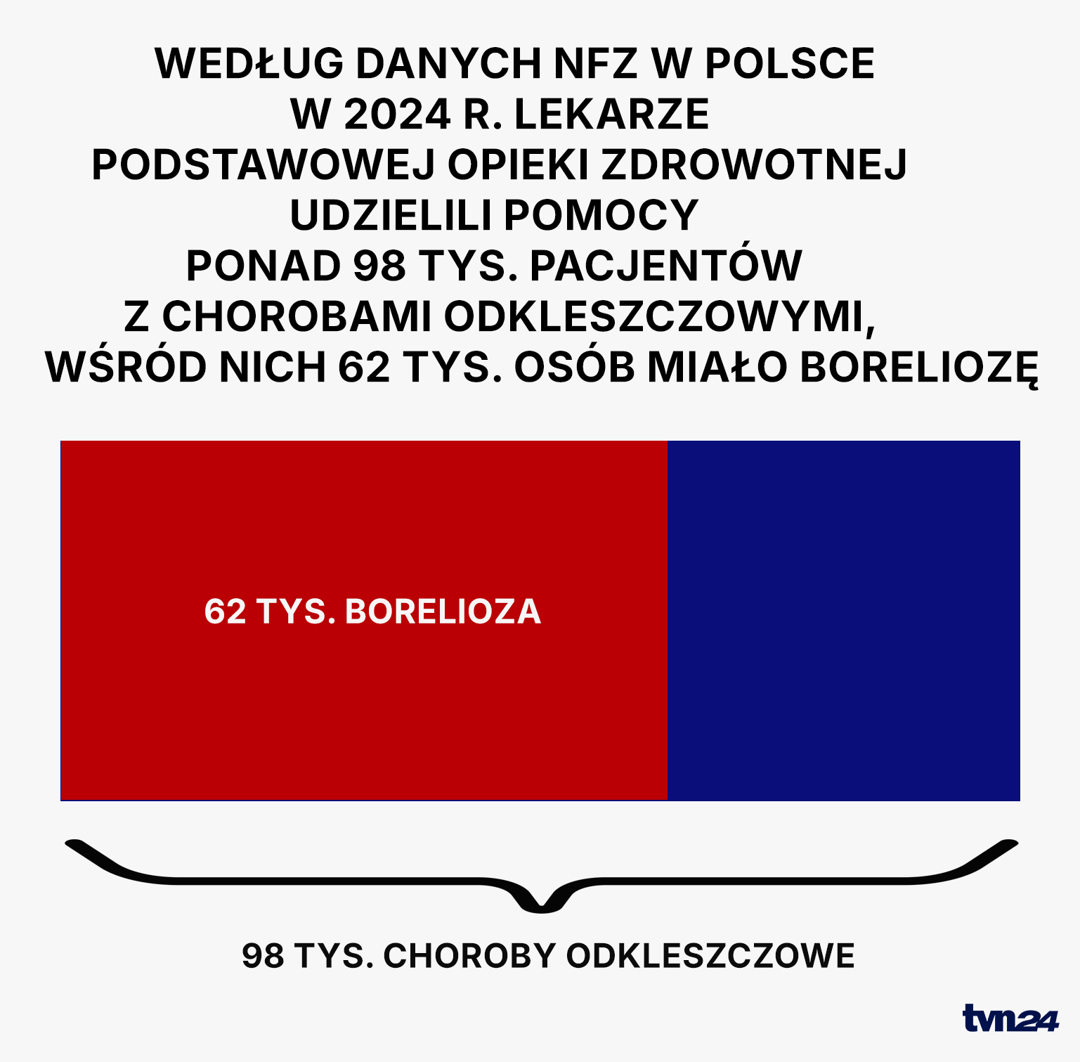 Choroby odkleszczowe w 2024 roku
