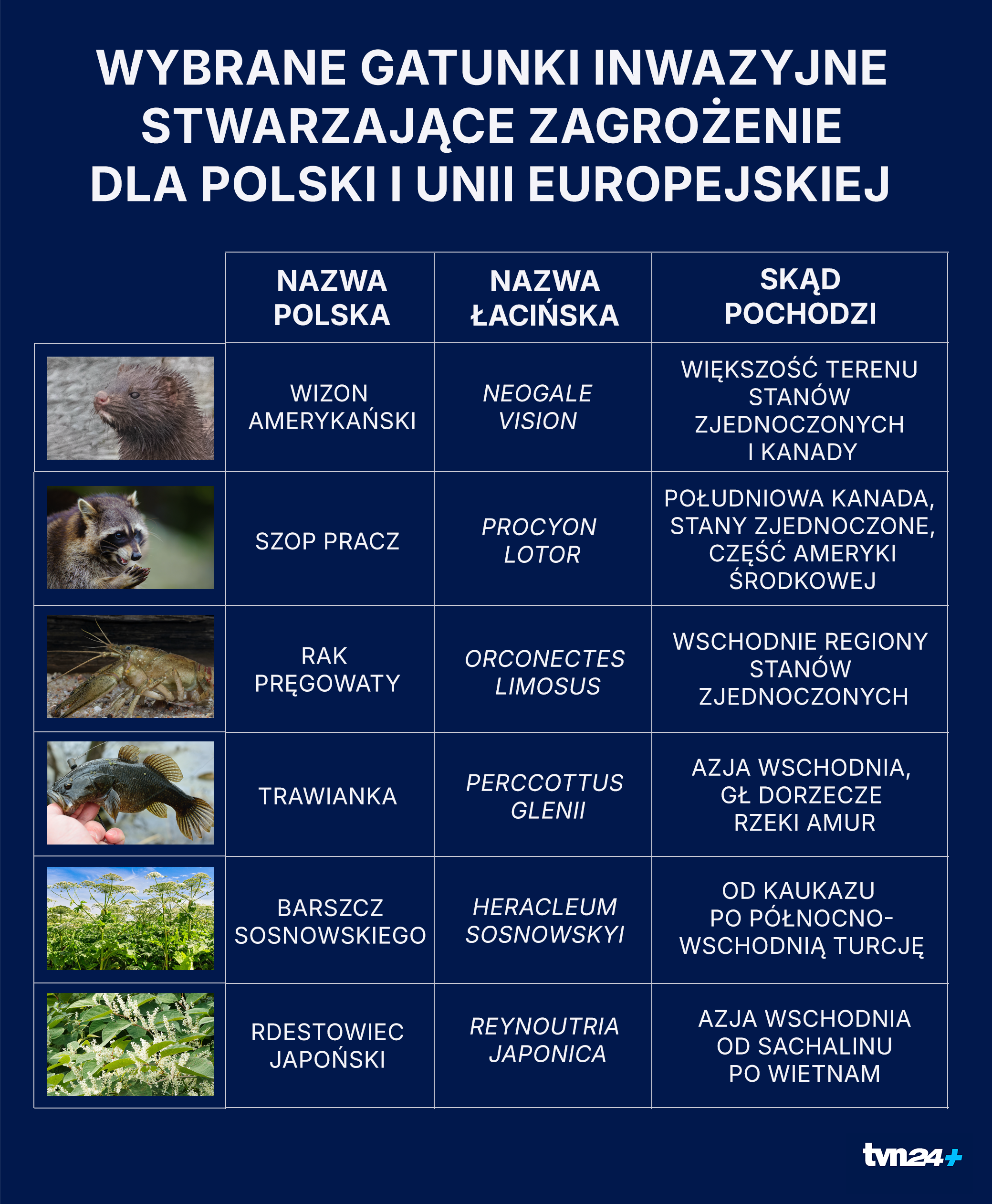 Wybrane inwazyjne gatunki obce z listy Unii Europejskiej i Polski