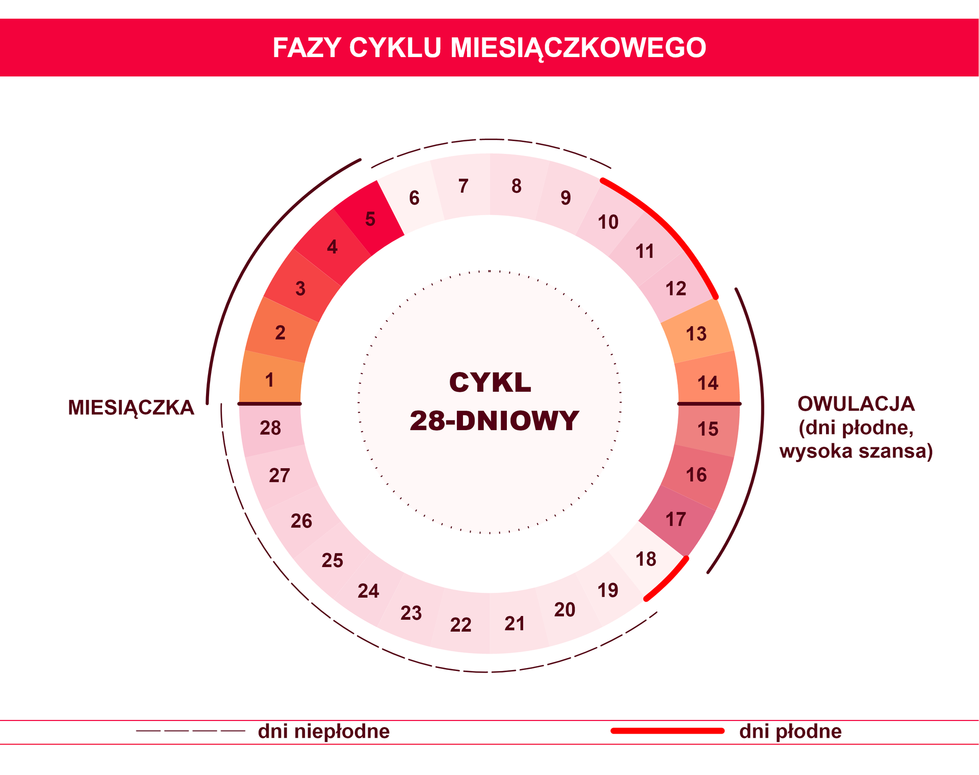 Faza cyklu miesiączkowego