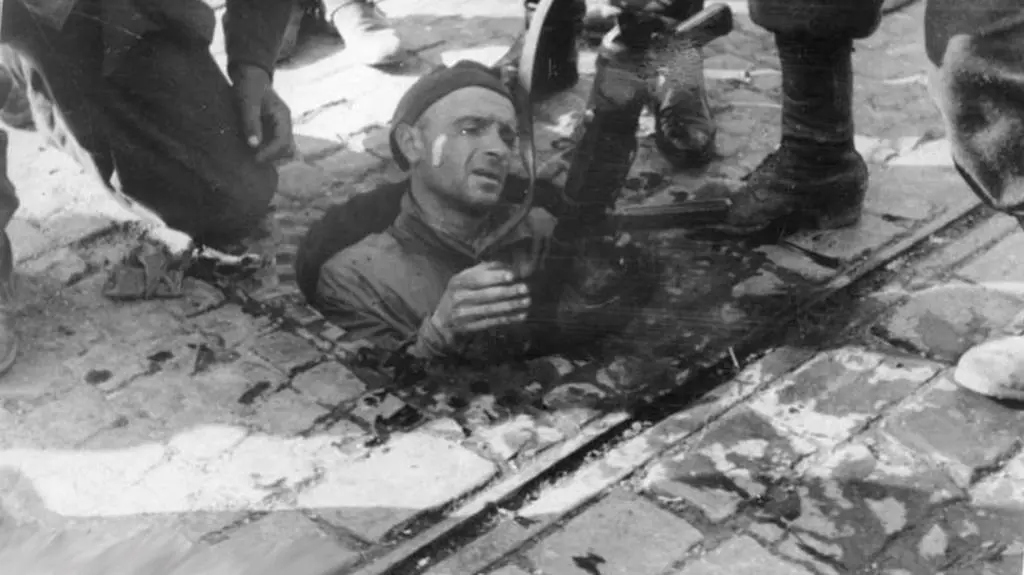 69. rocznica Powstania Warszawskiego. "Młodzi ludzie chcą składać hołd"