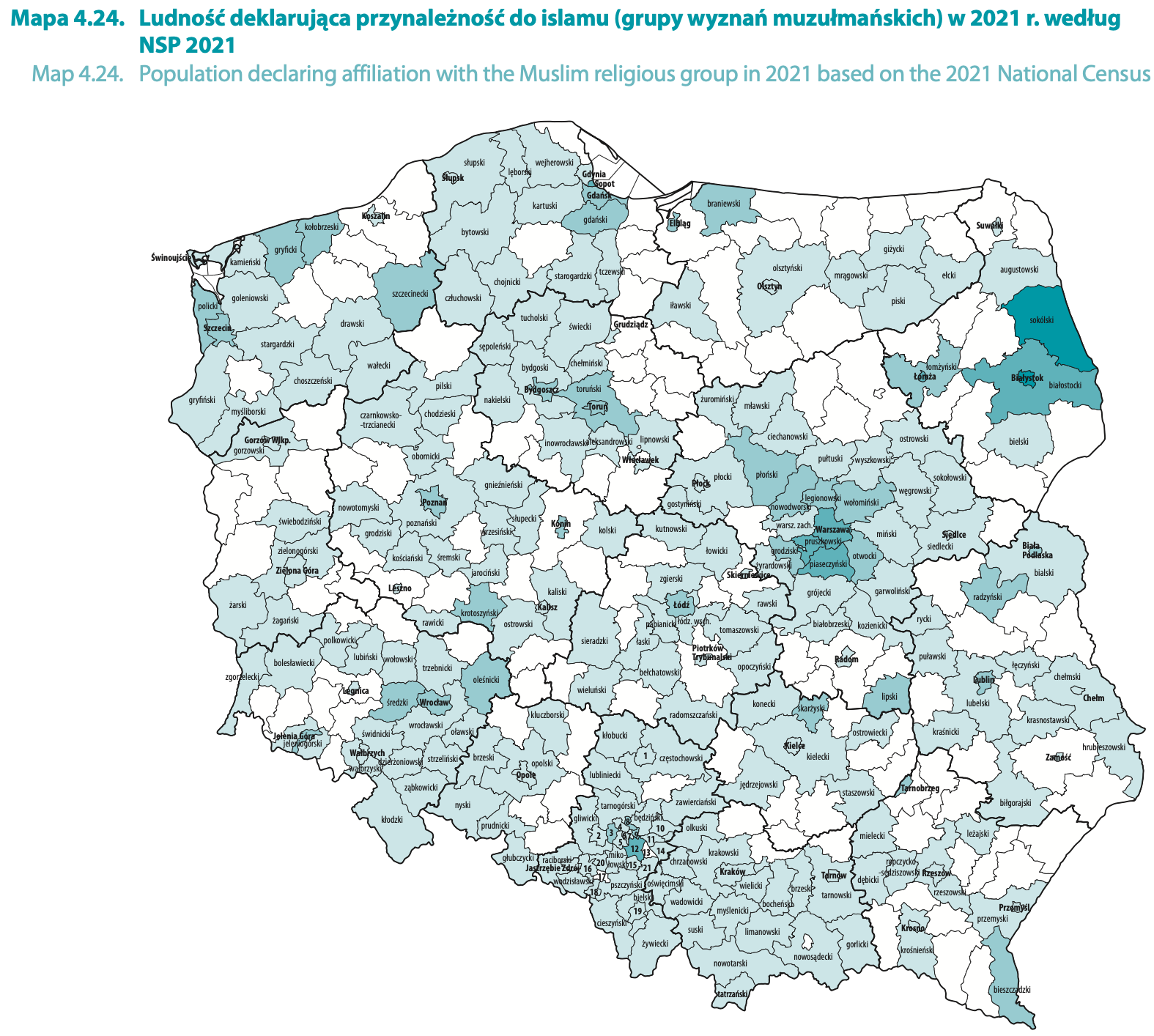 Mapa pokazuje, gdzie są największe skupiska wyznawców islamu