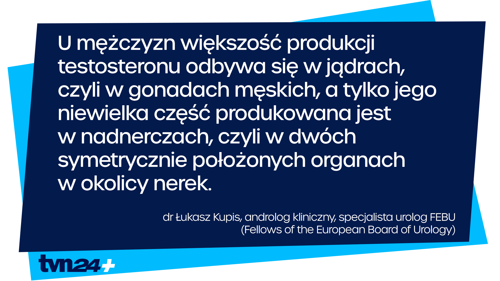 Gdzie produkowany jest testosteron?