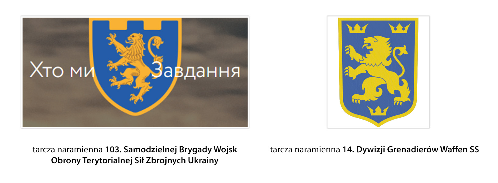 Różnice w symbolice brygady obwodu lwowskiego i dywizji SS Galizien są istotne 