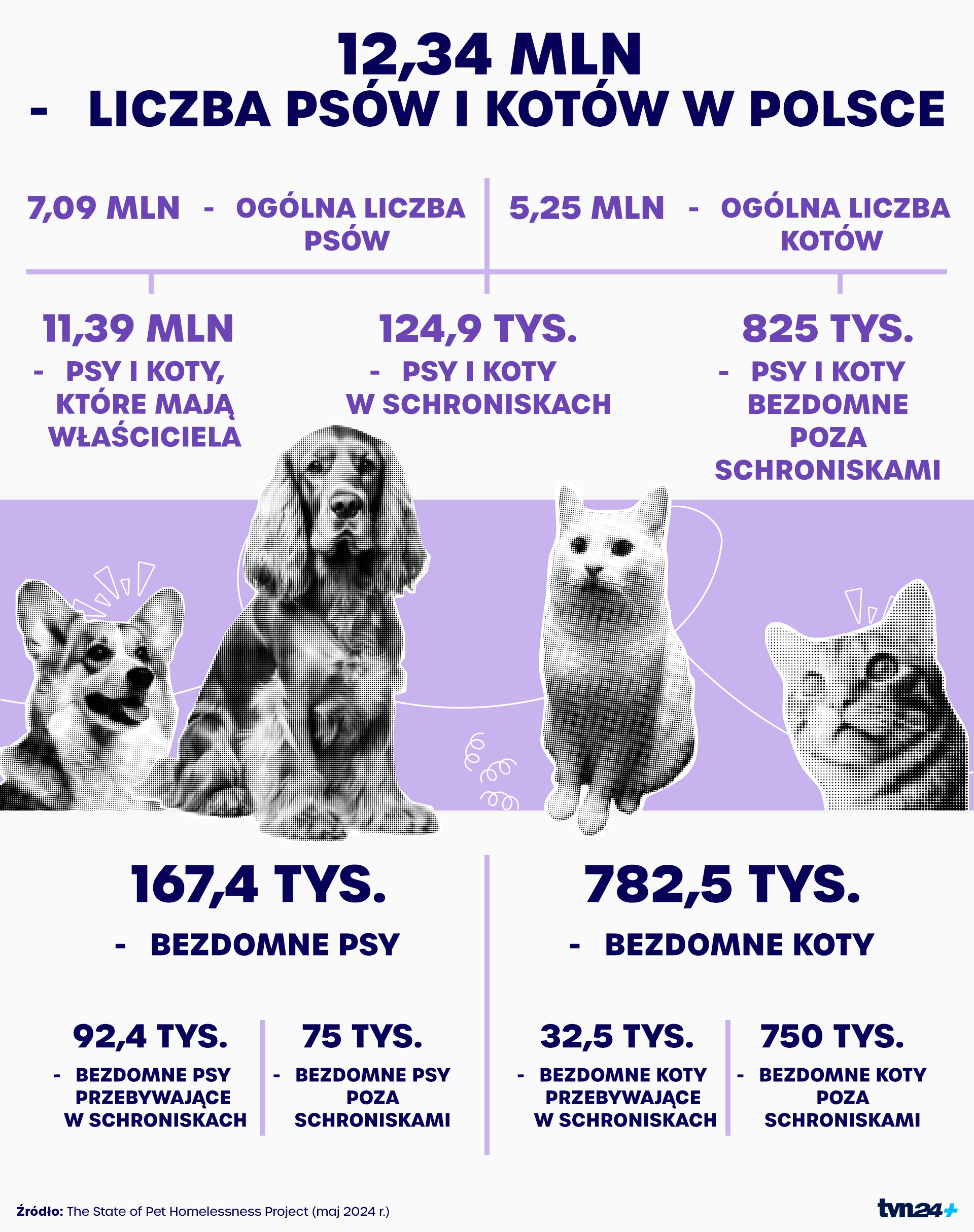 Aktualnie czytasz: "Piekło" w Sobolewie, "mordownia" w Wojtyszkach, "szczególne okrucieństwo" w Radysach. Sprawdziliśmy, co dalej