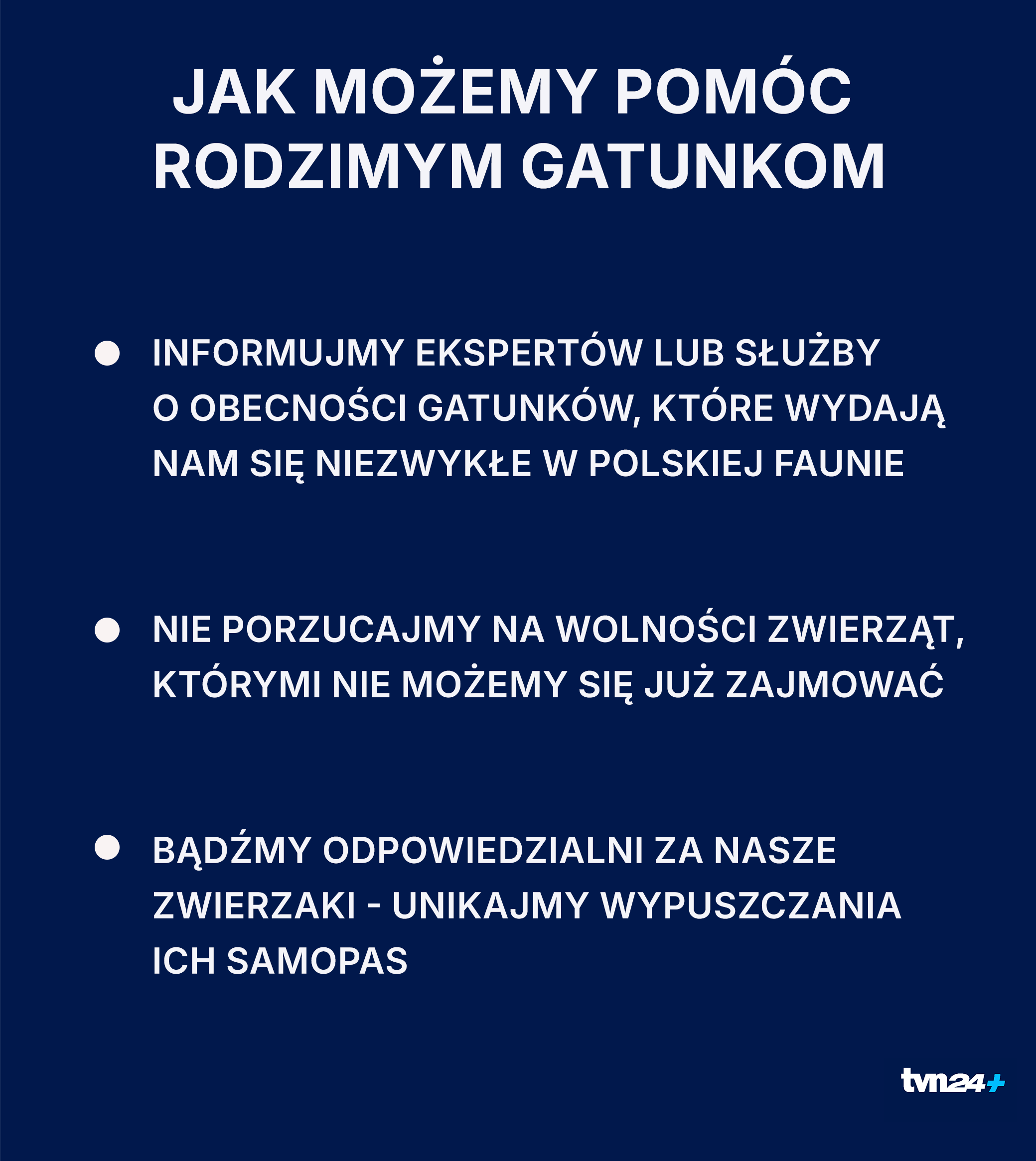 Co możemy zrobić?